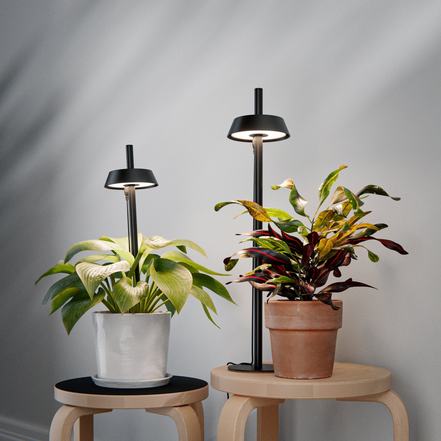 Two potted plants on small stools with black grow lights above them against a neutral background