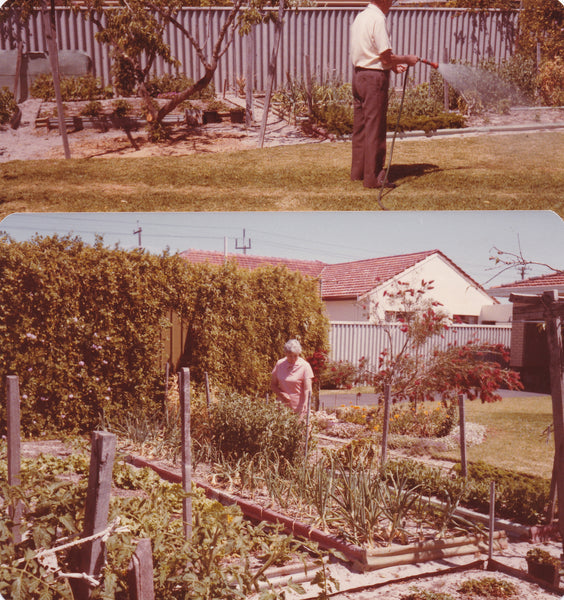 Our grandparents all had veggie patches