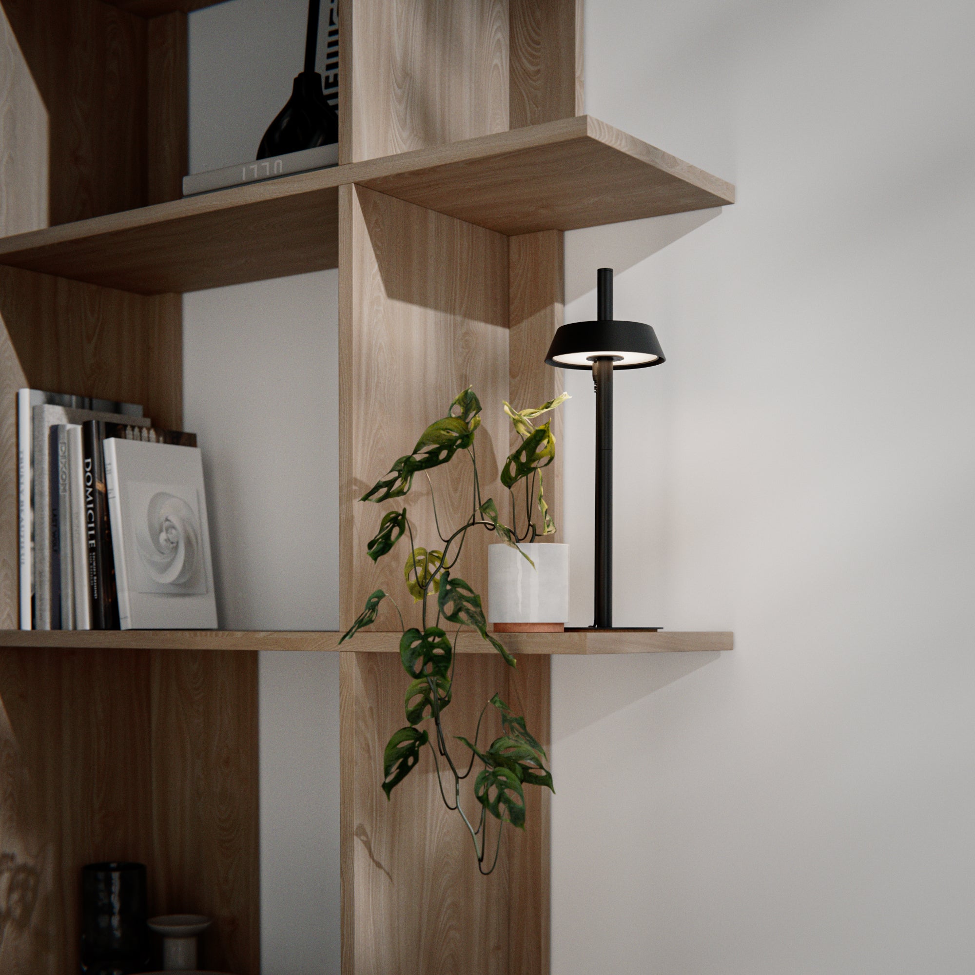 Wooden shelves with books, a plant, and a black grow light against a neutral wall