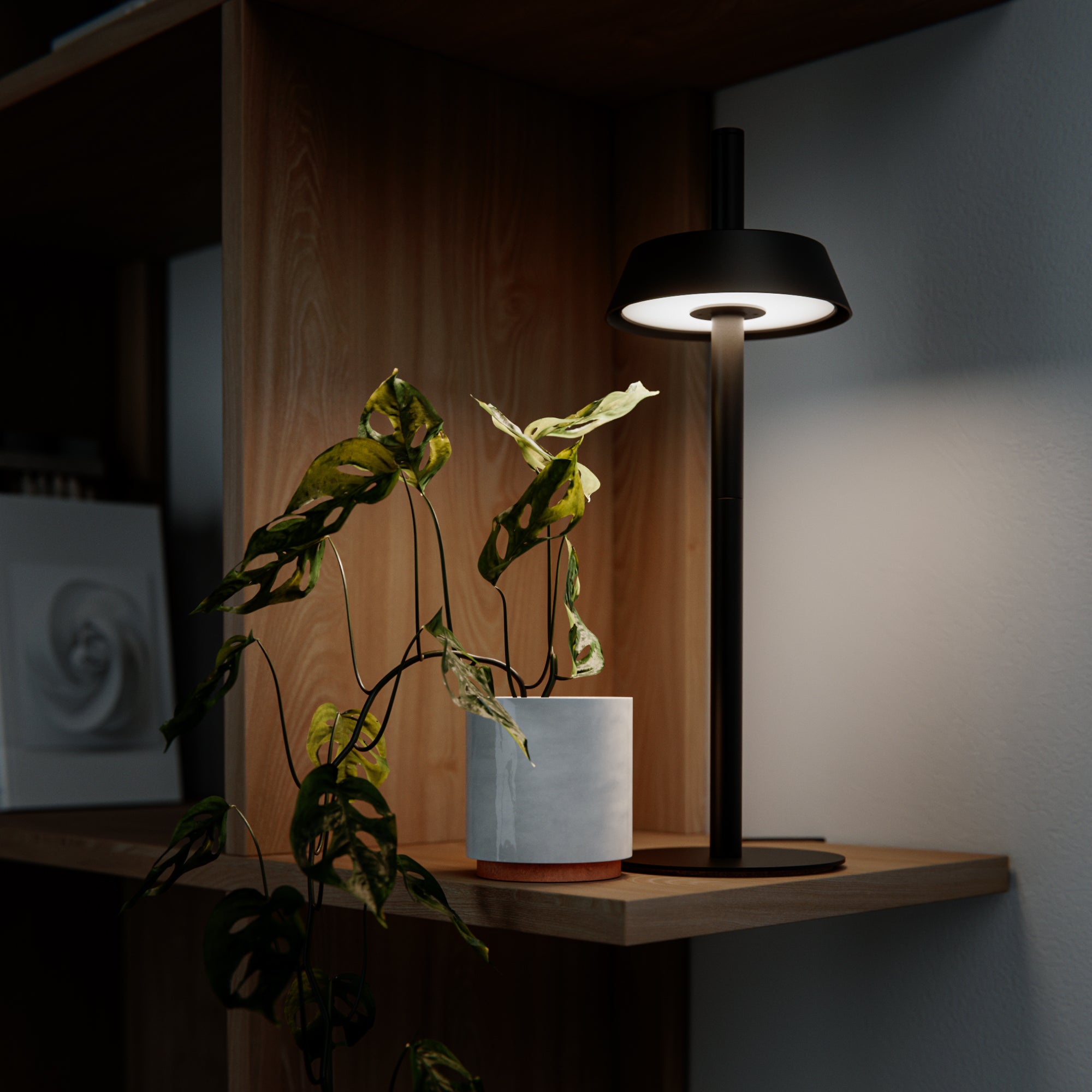 Black grow light on a wooden shelf with a plant and white container in a dimly lit room.