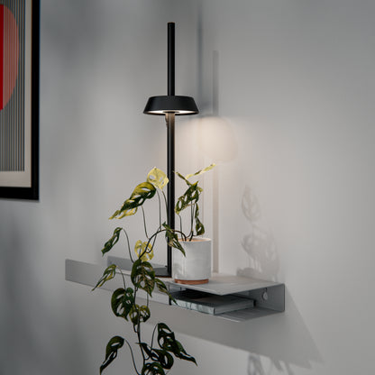 Modern grow light with a plant on a shelf against a neutral wall